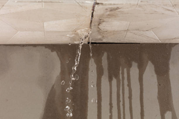 Professional Sewage Cleanup technician working in Springfield, MI